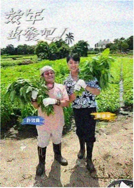 节气意象句的文本与换季提醒场景示意